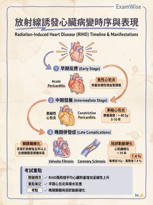 內專 - 心內膜炎與心包膜疾病 - AI 圖文解析預覽