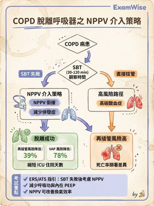 內專 - 呼吸衰竭、非侵襲性呼吸器與睡眠呼吸中止 - AI 圖文解析預覽
