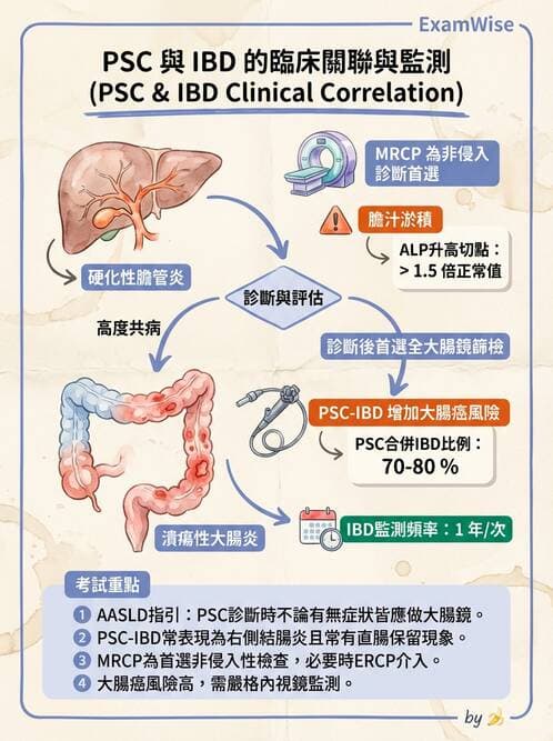內專 - 膽道疾病與膽酸生理 - AI 圖文解析預覽