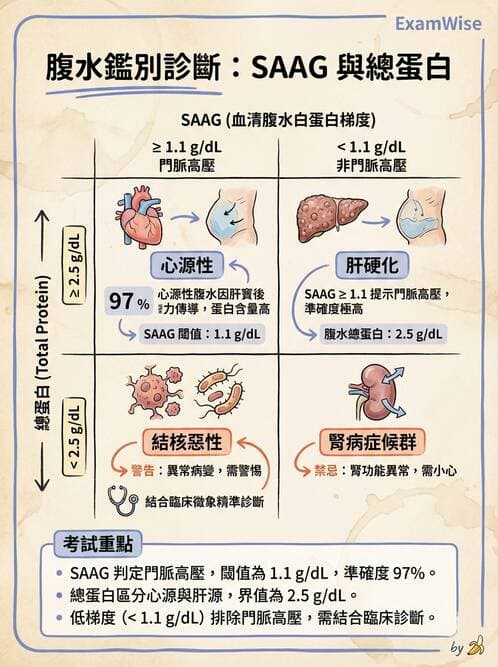 內專 - 肝硬化、肝癌及併發症 - AI 圖文解析預覽