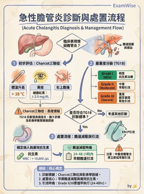 內專 - 膽道疾病與膽酸生理 - AI 圖文解析預覽