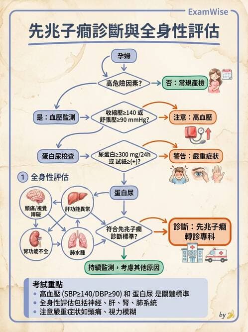 內專 - 腎血管疾病與妊娠腎病 - AI 圖文解析預覽