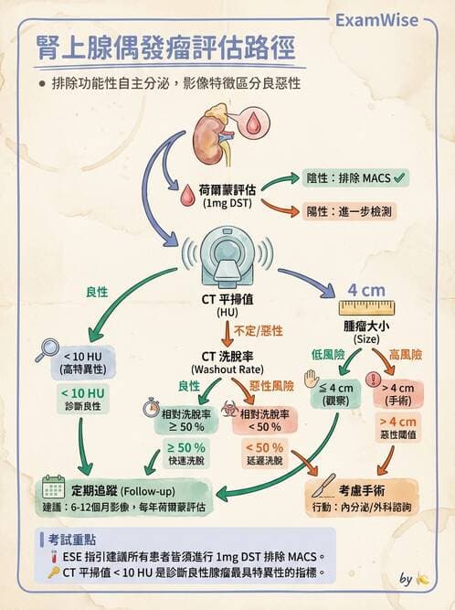內專 - 腎間質疾病與其他 - AI 圖文解析預覽