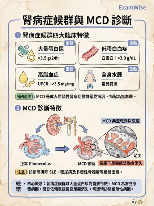 內專 - 原發性腎絲球腎炎 - AI 圖文解析預覽