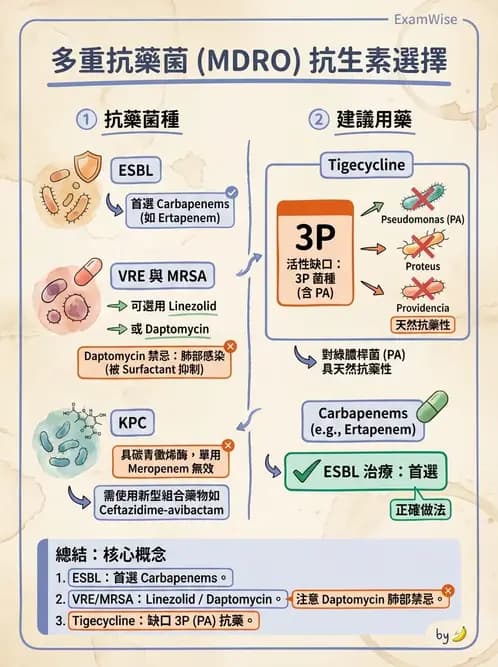 內專 - 抗藥性菌與感染管控 - AI 圖文解析預覽