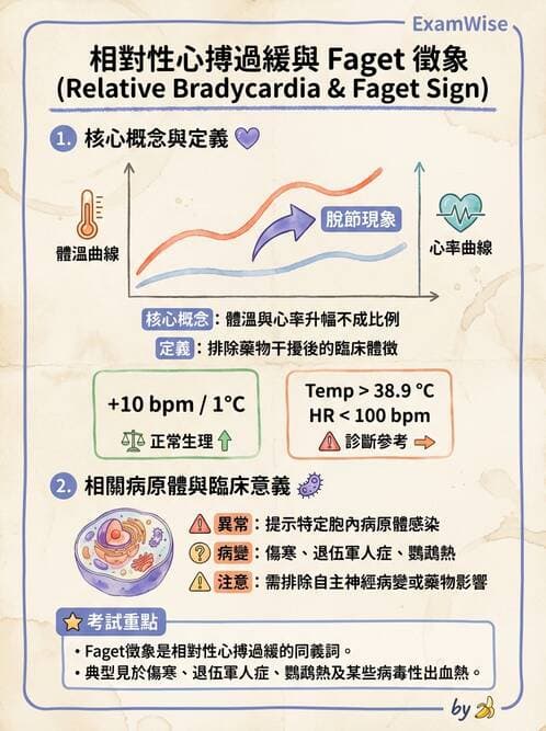 內專 - 感染總論與敗血症 - AI 圖文解析預覽