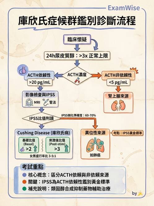 內專 - 腎上腺皮質疾病 - AI 圖文解析預覽
