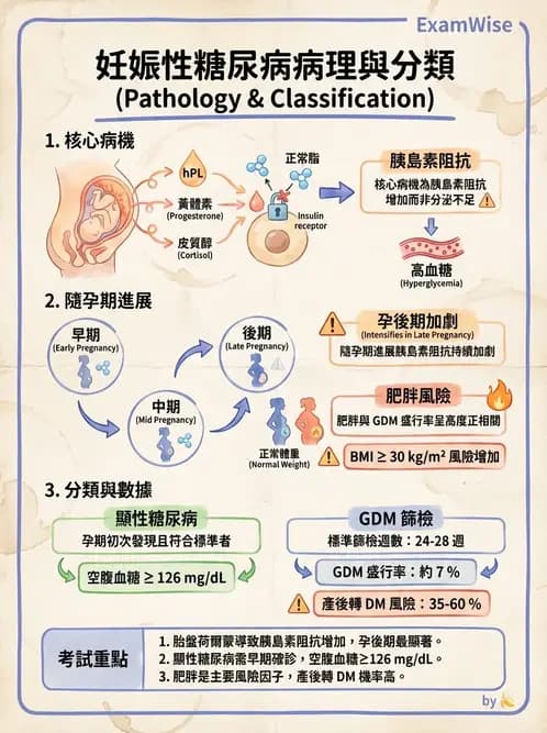 內專 - 糖尿病診斷、特殊族群與代謝性疾病 - AI 圖文解析預覽