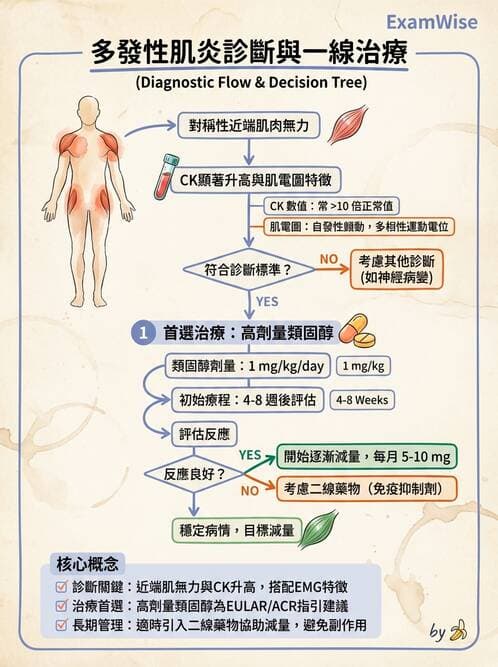 內專 - 炎性肌病 - AI 圖文解析預覽