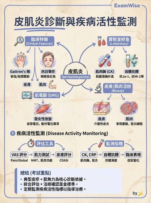 內專 - 炎性肌病 - AI 圖文解析預覽