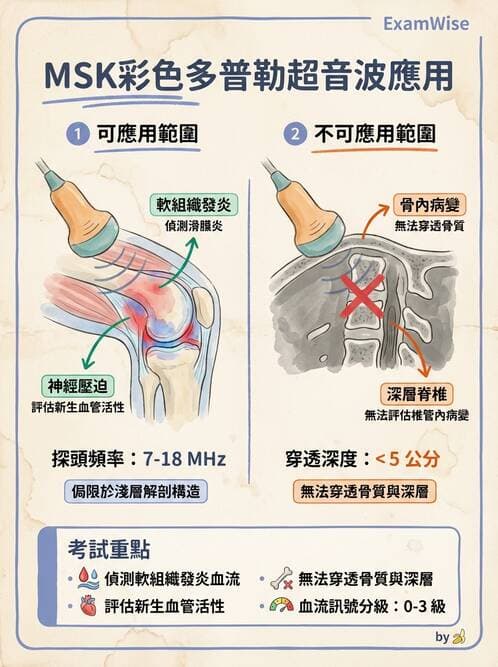 RA - 類風濕性關節炎 - AI 圖文解析預覽