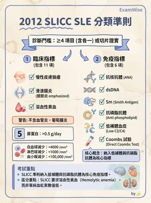 SLE - 全身性紅斑狼瘡 - AI 圖文解析預覽