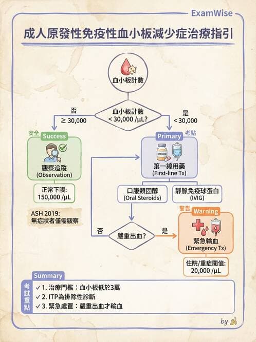 內專 - 凝血與輸血 - AI 圖文解析預覽