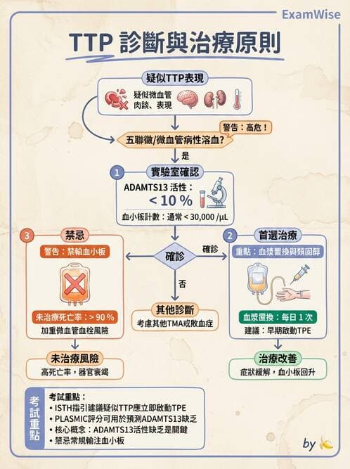 內專 - 凝血與輸血 - AI 圖文解析預覽