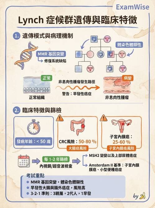 內專 - 腫瘤總論與篩檢 - AI 圖文解析預覽