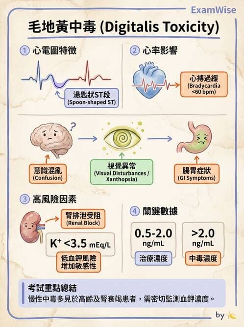 內專 - 瓣膜性心臟病 - AI 圖文解析預覽