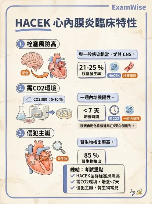 內專 - 心內膜炎與心包膜疾病 - AI 圖文解析預覽