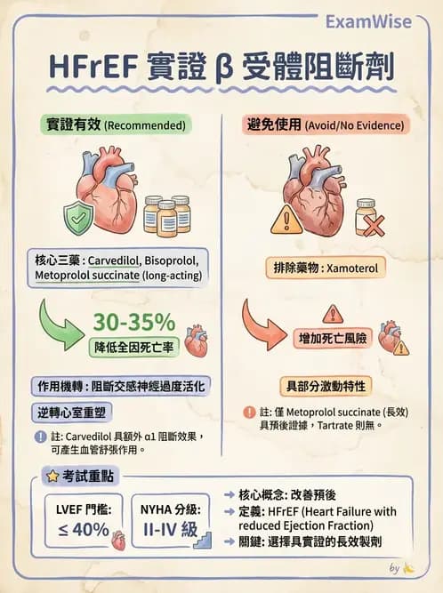 內專 - 心衰竭 - AI 圖文解析預覽