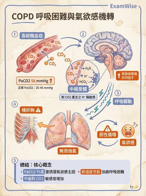 內專 - COPD 穩定期診斷與治療 - AI 圖文解析預覽