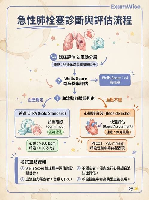 內專 - 肺血管疾病 - AI 圖文解析預覽