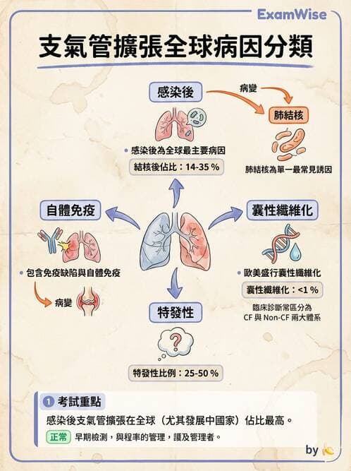 內專 - 社區性肺炎 - AI 圖文解析預覽