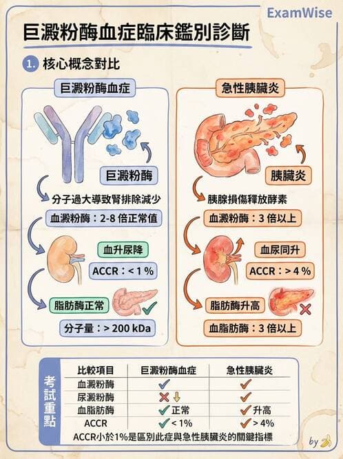 內專 - 胰臟疾病 - AI 圖文解析預覽