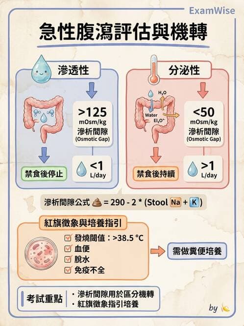 內專 - 憩室病、缺血性腸病與消化道出血 - AI 圖文解析預覽