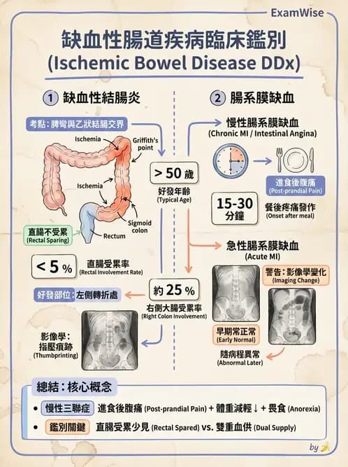 內專 - 憩室病、缺血性腸病與消化道出血 - AI 圖文解析預覽