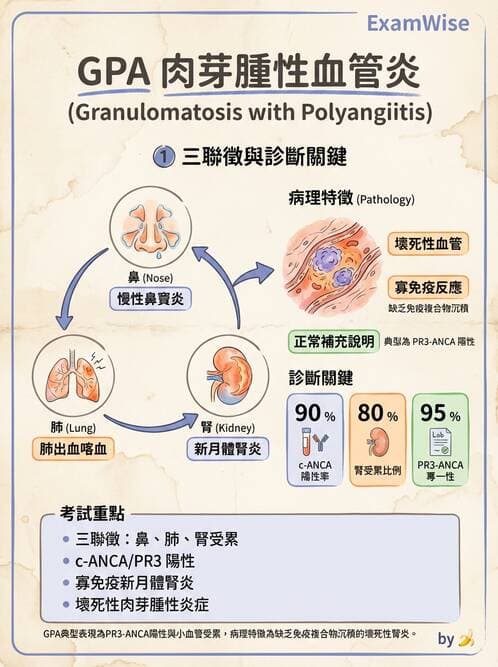 內專 - 繼發性腎絲球腎炎 - AI 圖文解析預覽