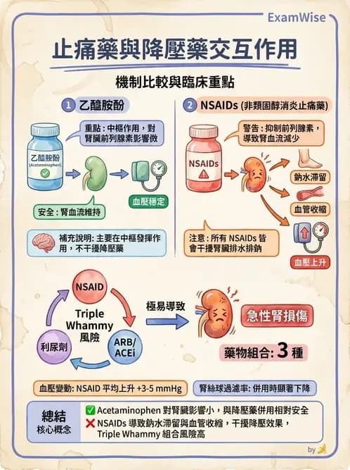 內專 - 腎間質疾病與其他 - AI 圖文解析預覽