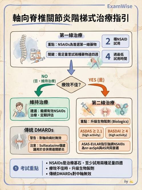 內專 - 脊椎關節病變 - AI 圖文解析預覽