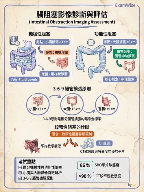 內專 - 腸道阻塞與急性腹症 - AI 圖文解析預覽