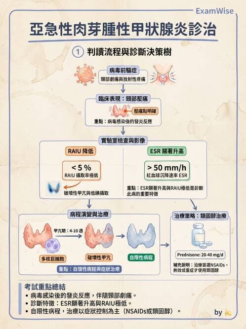 內專 - 甲狀腺疾病 - AI 圖文解析預覽