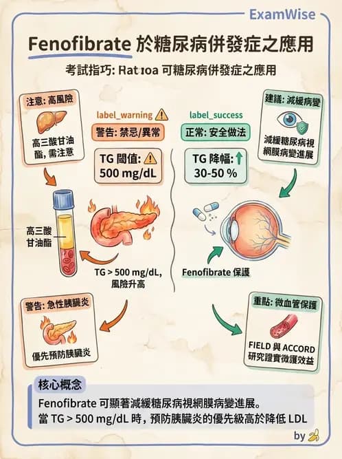 內專 - 糖尿病心血管保護與血脂異常 - AI 圖文解析預覽