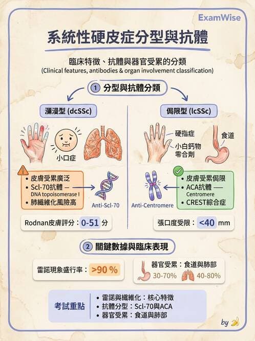 內專 - 系統性硬化症 - AI 圖文解析預覽