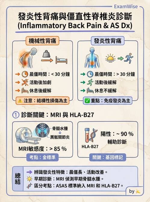 內專 - 脊椎關節病變 - AI 圖文解析預覽