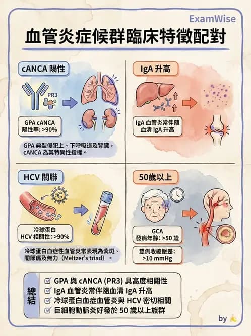 內專 - 血管炎 - AI 圖文解析預覽