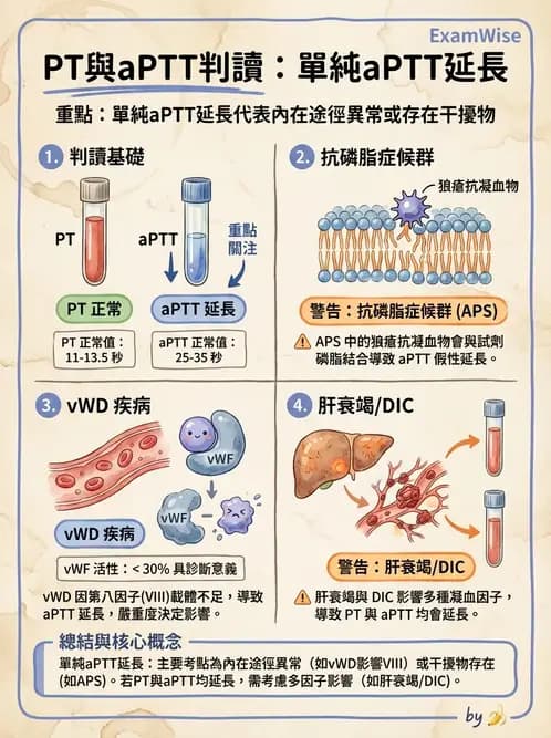 內專 - 凝血與輸血 - AI 圖文解析預覽