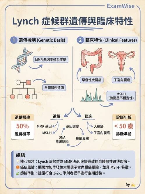 內專 - 腫瘤總論與篩檢 - AI 圖文解析預覽