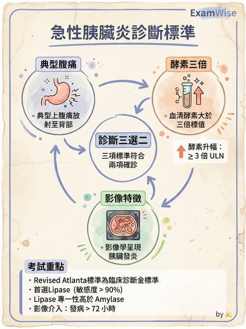 專師 - 膽道與胰臟 - AI 圖文解析預覽