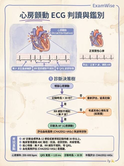 專師 - 心律不整與ECG判讀 - AI 圖文解析預覽