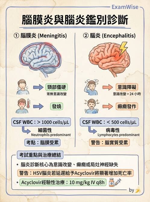 專師 - 中樞神經感染 - AI 圖文解析預覽