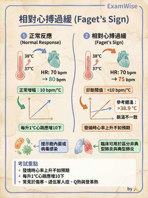 專師 - 敗血症與發燒通論 - AI 圖文解析預覽
