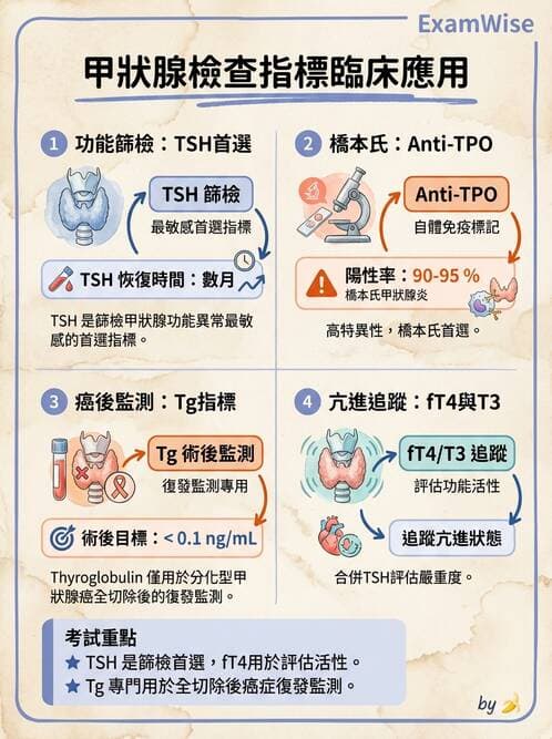 專師 - 甲狀腺疾病 - AI 圖文解析預覽