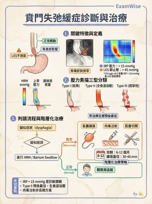 專師 - 上消化道 - AI 圖文解析預覽