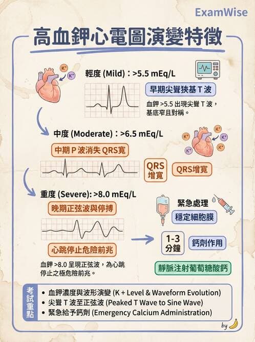 專師 - 鉀離子異常 - AI 圖文解析預覽