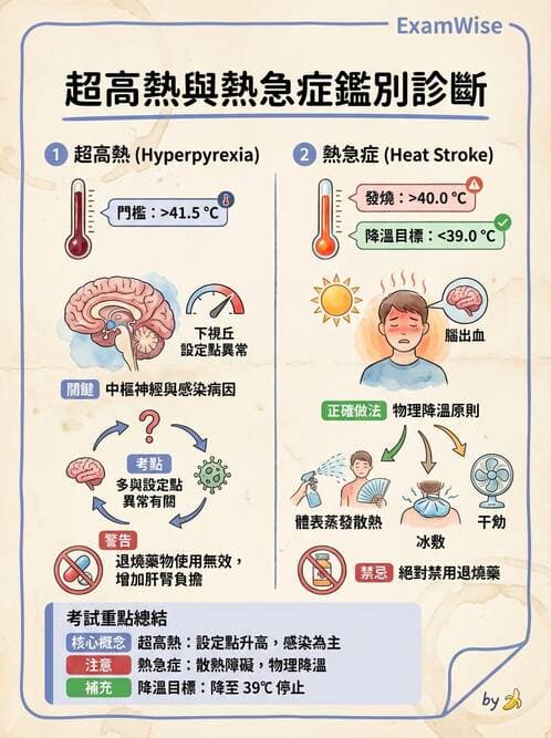 專師 - 敗血症與發燒通論 - AI 圖文解析預覽