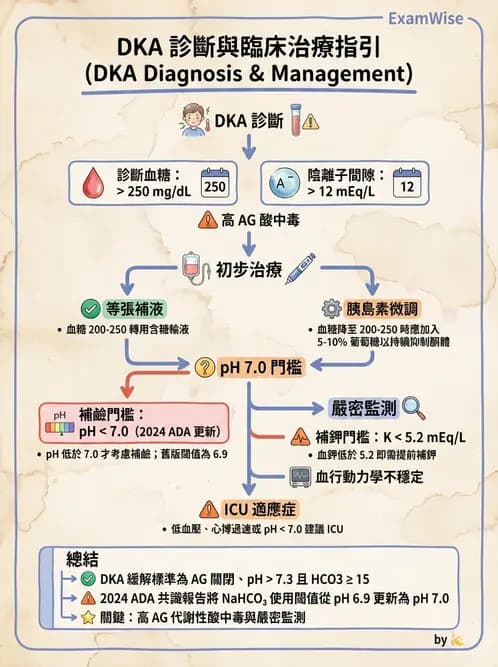 專師 - 糖尿病急症 - AI 圖文解析預覽