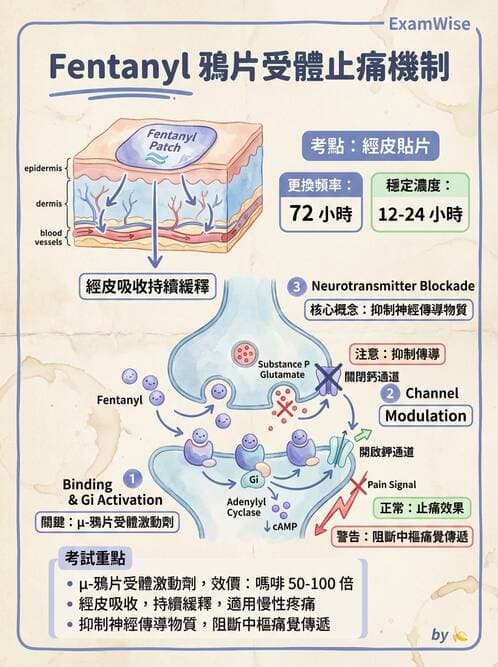 專師 - 疼痛控制與止痛藥物 - AI 圖文解析預覽
