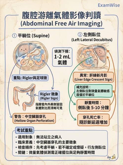 專師 - 疝氣與急腹症 - AI 圖文解析預覽